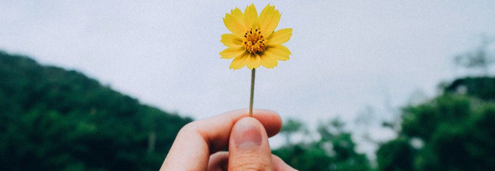 Catching the kindness bug
