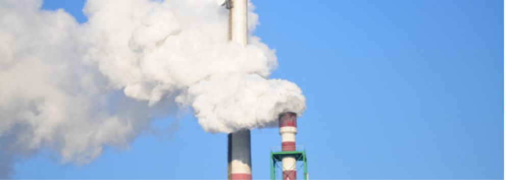 7 ways to reduce your carbon footprint