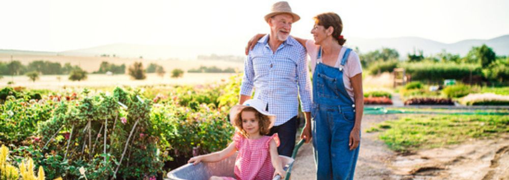 Sowing the seeds for a happy retirement