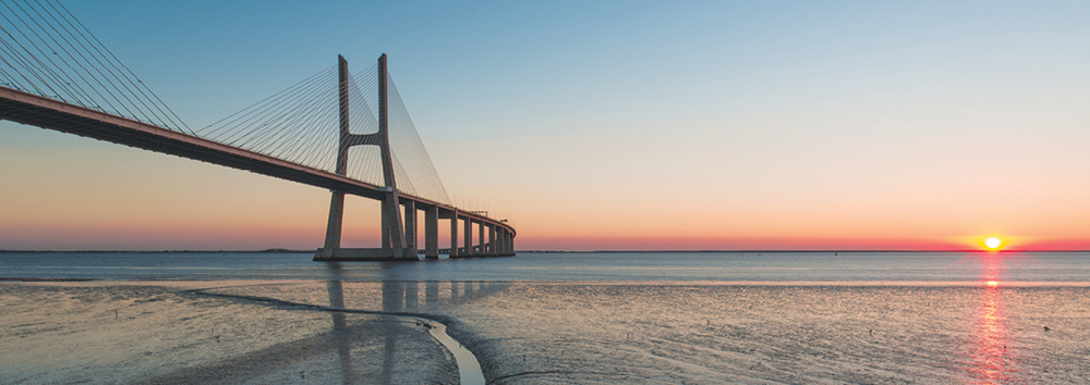 Market review and the outlook ahead - July 2026